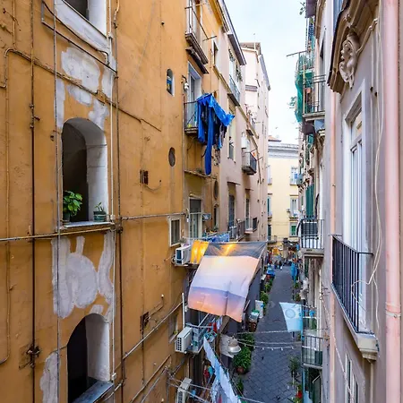 Modern Spacious In The Heart Of Apartament *